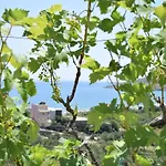 Guest house Belvedere Adriatica