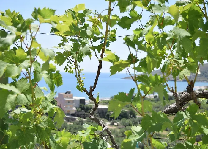 بيت ضيافة Belvedere Adriatica