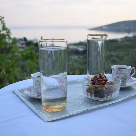 بيت ضيافة Belvedere Adriatica 4*