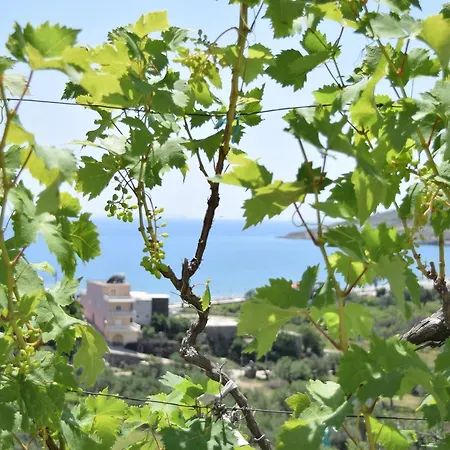 بيت ضيافة Belvedere Adriatica