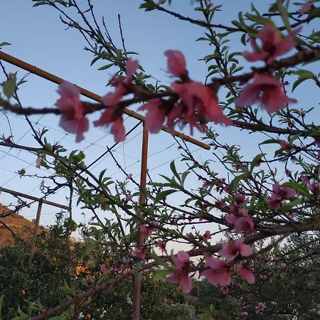 Belvedere Adriatica 4* كيبارو