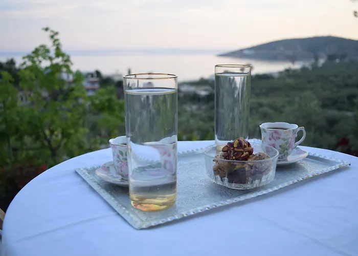 招待所 Belvedere Adriatica 4*